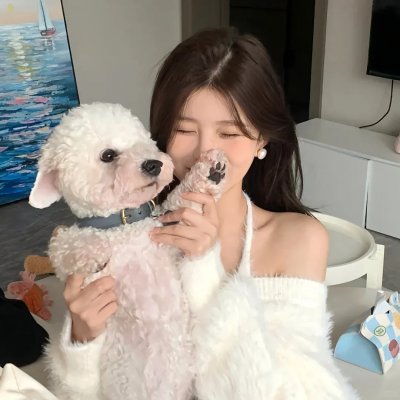 如果历史是一群喵第一季 封面